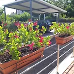 House Silvana - With Garden View Apartamento