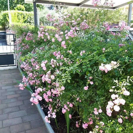 公寓 House Silvana - With Garden View *