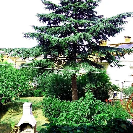 House Silvana - With Garden View 公寓