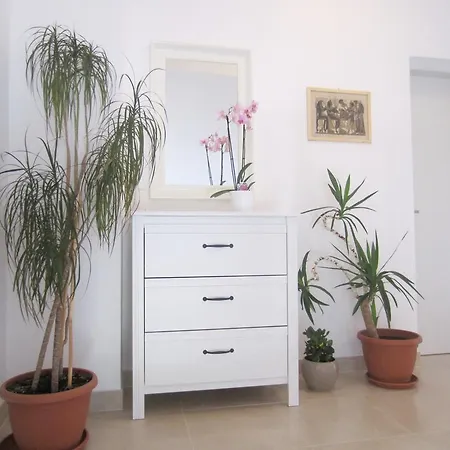 House Silvana - With Garden View * Ρόβινι