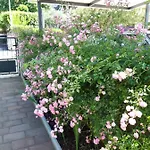 Apartament House Silvana - With Garden View *