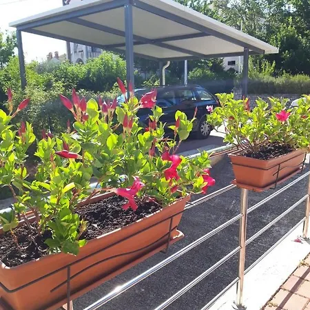 House Silvana - With Garden View Daire