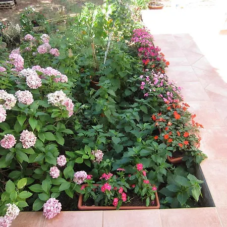 House Silvana - With Garden View