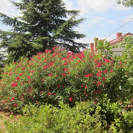 Lejlighed House Silvana - With Garden View