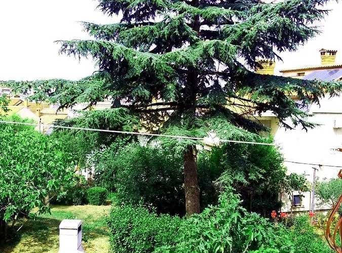 House Silvana - With Garden View Apartament